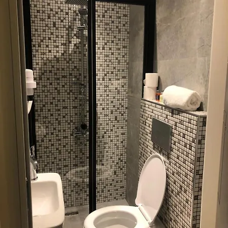 酒店 Nova Park Hotel-bomonti